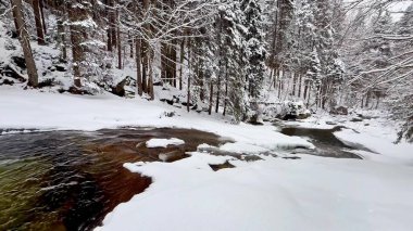 Huzurlu ve huzurlu bir kış manzarası güzel bir karlı nehir kıyısı ve zarif karlarla kaplı ağaçlar sergiliyor.