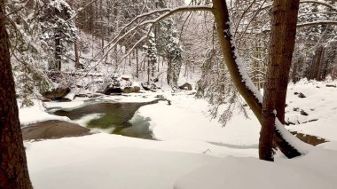 Güzel, sakin bir kış sahnesinde karla kaplı bir manzara sergileniyor.
