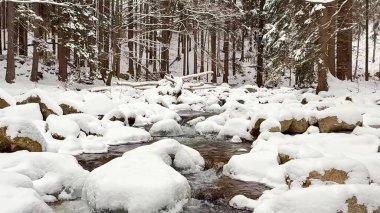 Güzel, huzurlu bir kış manzarası karla kaplı bir nehrin sakin bir orman manzarasında kıvrılarak ilerlediğini gösteriyor.