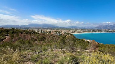 Güzel bir şekilde sergilenen nefes kesici kıyı manzarası. Her yerde yemyeşil bitki örtüsü ve köpüklü sular.