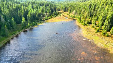 Bereketli yeşil ormanlarla çevrili sakin ve sakin bir nehri gösteren nefes kesici bir hava manzarası.