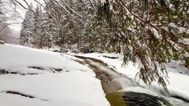 Huzurlu ve sakin bir nehir zarif bir şekilde karla kaplı bir ormanın içinden akar. Güzelce sergilenen kışlar sakindir.