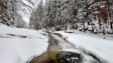 Karlı bir ormanda fırtınalı ve donmuş bir dağ nehri. Yüksek kalite 4k görüntü