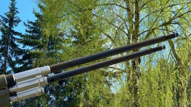 Canlı yeşil ağaçların arasına yerleştirilmiş çift namlulu topçuların çarpıcı ve büyüleyici bir görüntüsü.