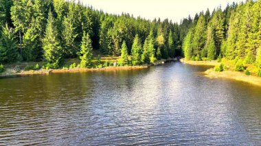 Huzurlu ve huzurlu bir nehir yemyeşil bir ormanın içinden akar ve doğanın gerçek güzelliğini yakalar.