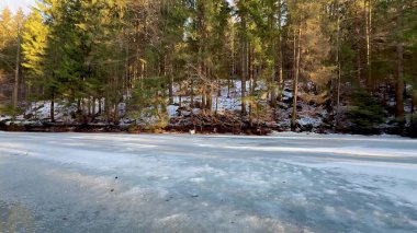 Huzurlu ve sakin bir kış sahnesi güzel bir şekilde donuk bir göl sergiliyor. Etrafı çam ormanlarıyla çevrili.