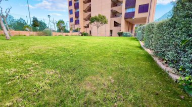 Modern bir apartmanın yanındaki yeşil çimlerin güzel ve güzel manzarası.