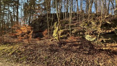 Huzurlu ve sakin bir orman yolu keşfedin. Bu patika, mevsimlik yapraklarla birlikte şaşırtıcı kaya oluşumlarını sergiler.