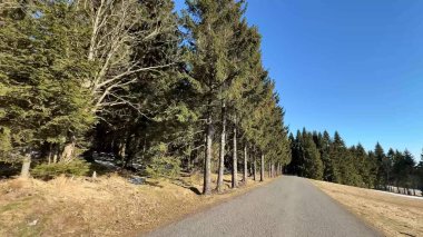 Huzurlu, sakin bir yol, yukarıdaki parlak mavi gökyüzünün altında uzanan, her daim yeşil ağaçların arasında dolanıyor.