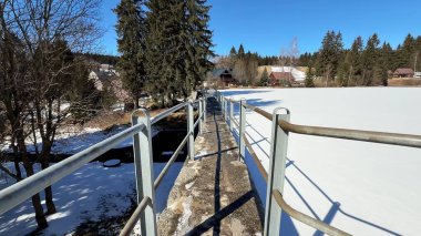 Göz kamaştırıcı güzellikte karlı bir manzara sergiliyor dolambaçlı bir yol ve açık mavi gökyüzünün altındaki uzun ağaçlar.