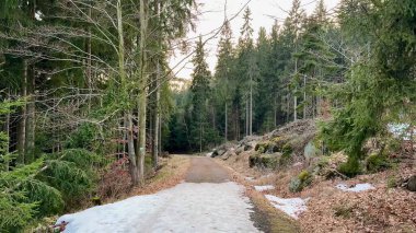Etrafı ağaçlar ve kayalarla çevrili huzurlu bir orman patikası keşfet. Rahatlamak ve eğlenmek için mükemmel.