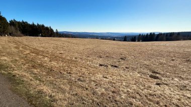 Sakin bir manzara engin yeşil bir tarlayı ve berrak mavi gökyüzünün altında uzak görkemli dağları barındırır.