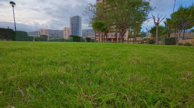 Manzaralı bir park ortamında, canlı yeşil çimenler yemyeşil ağaçlar ve arka plandaki şehir binalarıyla tamamlanır.