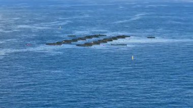 Bir hava manzarası, sakin bir okyanus ortamında çeşitli yüzen kafeslerin yer aldığı geniş bir su tarlası gösteriyor.