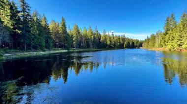 Berrak mavi bir gökyüzünün altındaki gür, canlı ormanlarla çevrili sakin ve huzurlu bir göl manzarası.