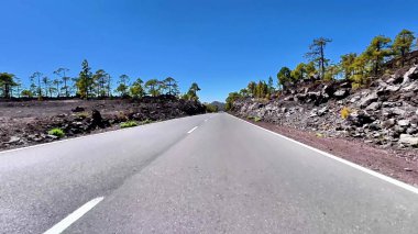 Çok güzel resimli bir yol göz kamaştırıcı volkanik kayalar ve parlak mavi gökyüzünün altındaki uzun yeşil ağaçlar tarafından çerçevelenir.