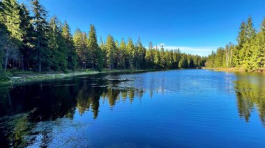 Berrak mavi bir gökyüzünün altındaki gür, canlı ormanlarla çevrili sakin ve huzurlu bir göl manzarası.