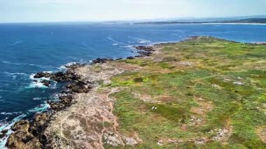 Göz kamaştırıcı bir kıyı manzarası, kayalık kıyı şeritleri ve canlı, gür yeşillikler sunar.