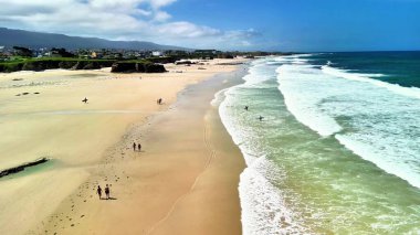 Yumuşak dalgaların, altın kumun ve mavi gökyüzünün altında yemyeşil kıyı manzarasının olduğu sakin bir sahil manzarası.