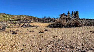 Sakin ve geniş bir çöl manzarası seyrek bitki örtüsü, kayalık arazi ve açık mavi gökyüzü.