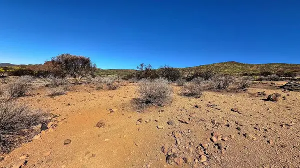 Manzaralı çöl, canlı mavi gökyüzünün altında kurak arazi ve seyrek bitki örtüsü sergiliyor.