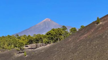Zengin yeşillik ve açık mavi gökyüzü ile nefes kesici bir yanardağ manzarası, doğa meraklıları için mükemmel..