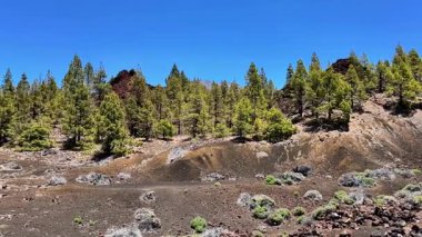 Bu güzel manzaradaki canlı yeşillik ve dramatik volkanik arazinin çarpıcı karışımını keşfedin.