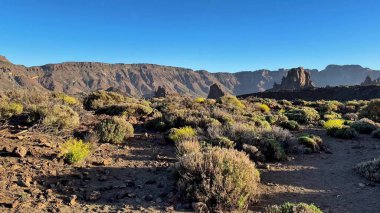 Canlı bitki örtüsü ve yeşilliklerle süslenmiş nefes kesici volkanik manzaralara dalın.