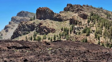 Sersemletici bir volkanik alan keşfetmek kayalık arazi ve açık mavi bir gökyüzü altında canlı yeşil.