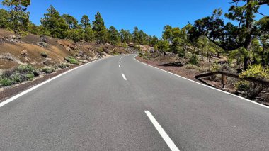 Büyüleyici ve güzel bir viraj yolu ağaçlarla çevrili ve yukarıdaki açık mavi gökyüzünün altında canlı bir doğa var.