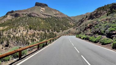 Görkemli dağlar ve yemyeşil yeşilliklerle çevrili kıvrımlı bir yolun nefes kesici manzarası.