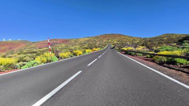 Resimli, dolambaçlı bir yol, berrak mavi gökyüzünün altında açan çiçeklerle dolu canlı manzaraların içinden geçiyor.