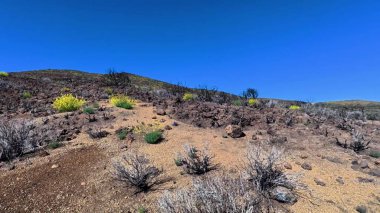 Berrak mavi gökyüzünün altında seyrek bitki örtüsü bulunan kayalık arazinin çarpıcı ve çarpıcı panoramik manzarası.
