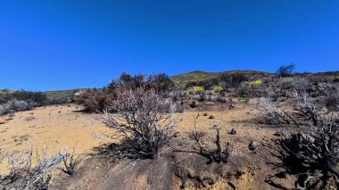 Engin, çorak bir arazinin çarpıcı ve büyüleyici manzarası açık mavi gökyüzünün yanında kuru çalılar sergiliyor.