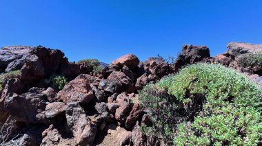 Sersemletici volkanik araziyi keşfedin açık mavi gökyüzü altında kayalık çıkıntılar ve canlı yeşillikler.