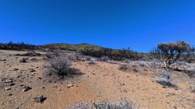 Nefes kesici ve nefes kesici bir çöl manzarası seyrek bitki örtüsü ve yukarıda parlak mavi bir gökyüzü barındırıyor.