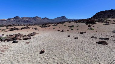 Uçsuz bucaksız ve çarpıcı bir çöl manzarası etkileyici kayalık oluşumlar ve berrak mavi gökyüzünün altında canlı bitki yaşamını barındırıyor.