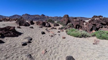 Parlak mavi gökyüzünün altında engebeli kayaların ve seyrek yeşilliğin olduğu nefes kesici bir çöl manzarası keşfedin..
