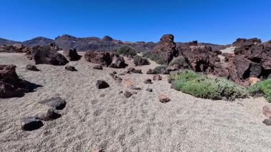 Parlak mavi gökyüzünün altında engebeli kayaların ve seyrek yeşilliğin olduğu nefes kesici bir çöl manzarası keşfedin..