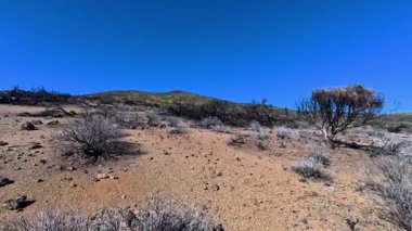 Nefes kesici ve nefes kesici bir çöl manzarası seyrek bitki örtüsü ve yukarıda parlak mavi bir gökyüzü barındırıyor.