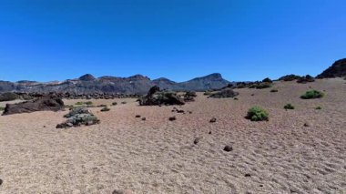 Gelin ve bu nefes kesici çöl sahnesini keşfedin. Canlı yeşilliğin yanında çarpıcı kaya oluşumlarını da içeriyor.