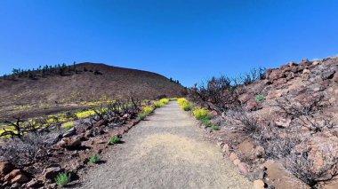 Berrak mavi gökyüzünün altında çiçek açan kır çiçekleri ve kayalık araziyle çevrili pitoresk bir patikayı keşfedin..