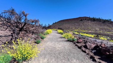 Unutulmaz bir maceraya atlayın. Yaban çiçekleri ve volkanik manzaralarla dolu güzel bir patikayı keşfedin.