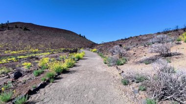 Etrafı canlı kır çiçekleriyle çevrili nefes kesici bir patika keşfetmek ve volkanik bir arazide açık mavi bir gökyüzü..