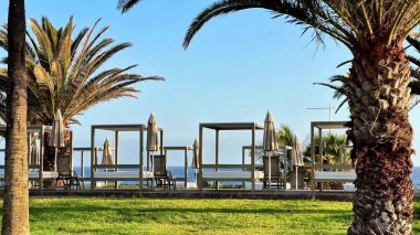 Palmiye ağaçlarının altında deniz kenarındaki kabinlerin rahatlama ve yaz atmosferi için mükemmel bir ortam yarattığını hayal edin.