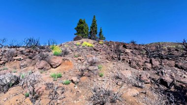 Berrak, parlak mavi gökyüzünün altında dağınık yeşilliklerle süslenmiş kayalık bir yamaçtan nefes kesici ve çarpıcı bir manzara.