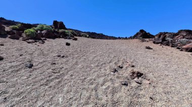 Berrak mavi bir gökyüzünün altında uzanan seyrek bitki örtüsünün yer aldığı kayalık bir çöl manzarasının nefes kesici görüntüsü.