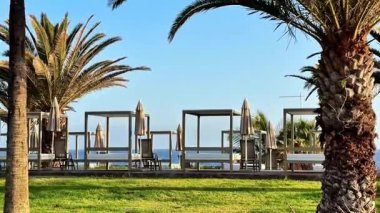 Palmiye ağaçlarının altında deniz kenarındaki kabinlerin rahatlama ve yaz atmosferi için mükemmel bir ortam yarattığını hayal edin.