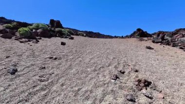 Berrak mavi bir gökyüzünün altında uzanan seyrek bitki örtüsünün yer aldığı kayalık bir çöl manzarasının nefes kesici görüntüsü.