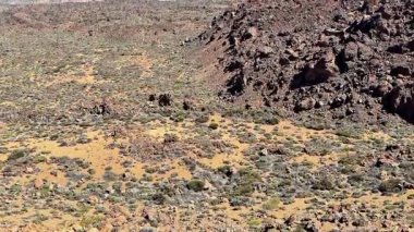 Kayalık bir çöl arazisinin nefes kesici manzarası seyrek bitki örtüsü ve dağlık zemin.